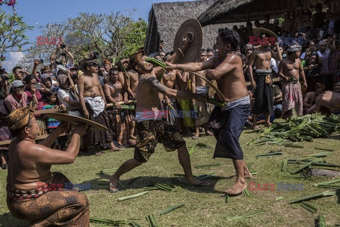 Tradycyjne walki Mekare-kare w Indonezji - Redux