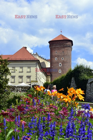 Kraków Albin Marciniak