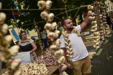 Sprzedaż czosnku w północnej Hiszpanii - AFP