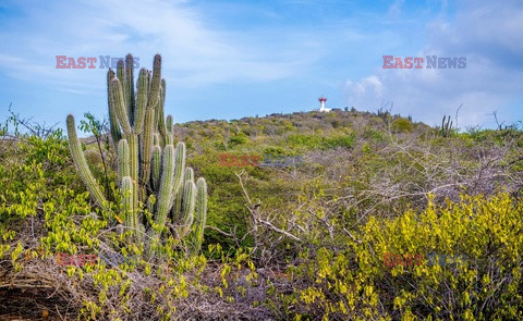 Curaçao - Sipa USA