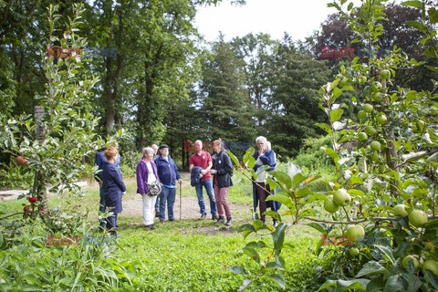 Holandia - gospodarstwo rolne dla każdego - Hollandse Hoogte