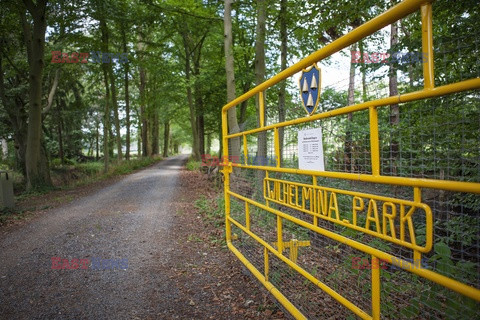 Holandia - gospodarstwo rolne dla każdego - Hollandse Hoogte