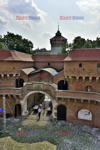 Muzea i kolekcje Albin Marciniak