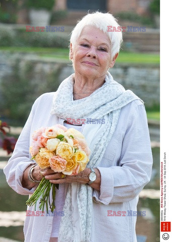  Judi Dench tnie kwiaty