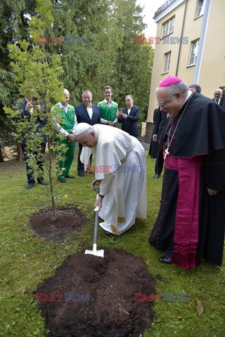 Papież Franciszek z pielgrzymką w krajach bałtyckich