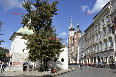 Kraków Albin Marciniak