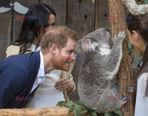 Książęta Sussex z wizytą w Australii