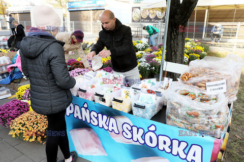 Wszystkich Świetych na Powązkach