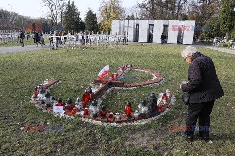 Wszystkich Świetych na Powązkach