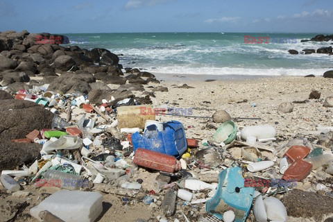 Zanieczyszczone plaże w Australii - VU Images