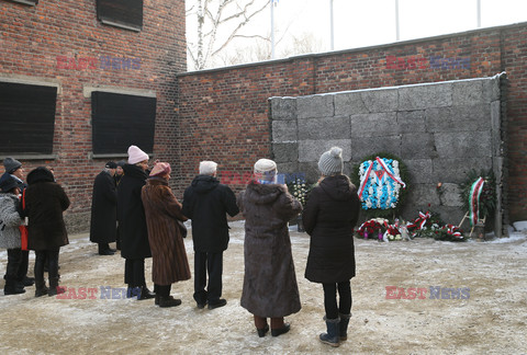 74. rocznica wyzwolenia Auschwitz