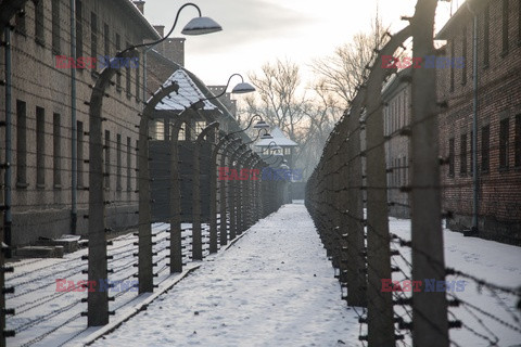 74. rocznica wyzwolenia Auschwitz