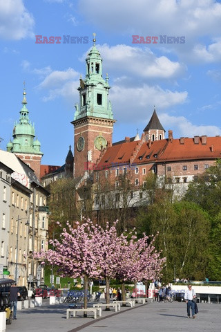 Kraków Albin Marciniak