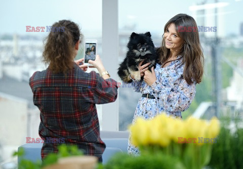 Dzień Dobry TVN i jego goście - maj 2019