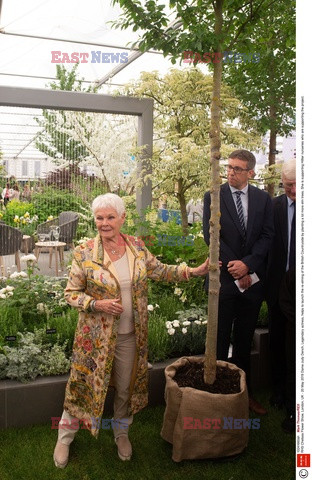 Judy Dench na Chelsea Flower Show