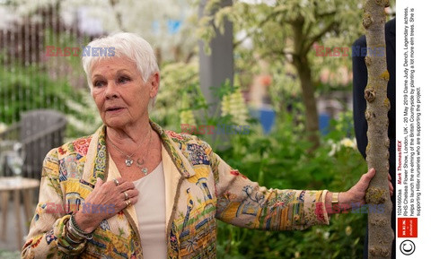 Judy Dench na Chelsea Flower Show