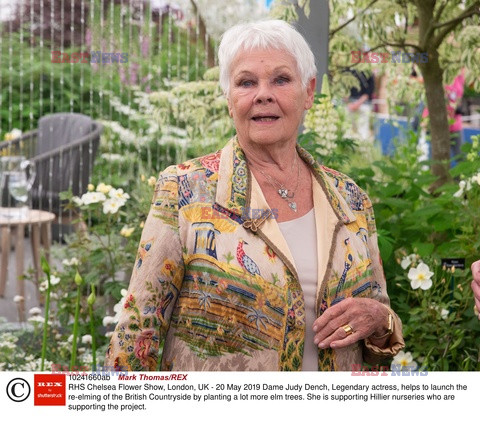 Judy Dench na Chelsea Flower Show