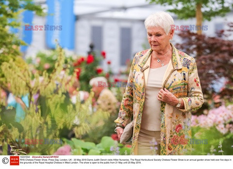 Judy Dench na Chelsea Flower Show