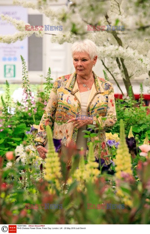 Judy Dench na Chelsea Flower Show