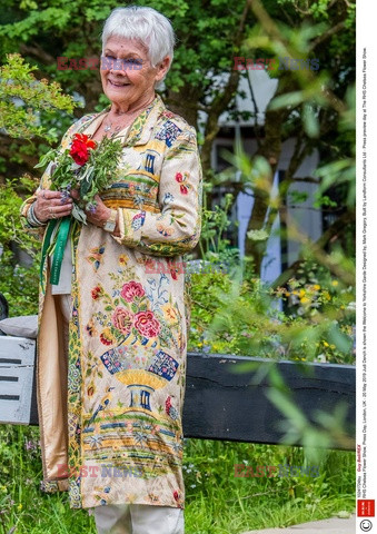 Judy Dench na Chelsea Flower Show