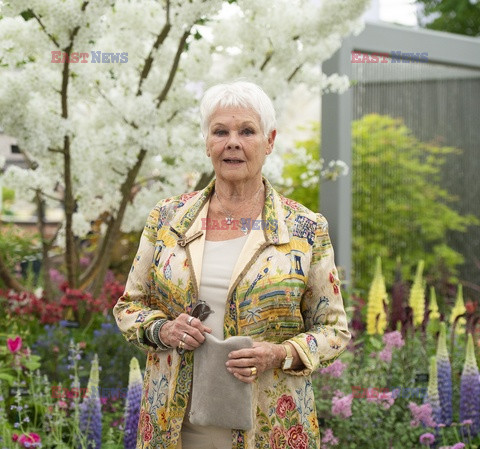 Judy Dench na Chelsea Flower Show