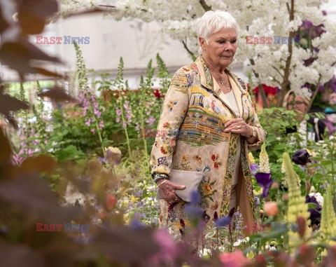 Judy Dench na Chelsea Flower Show