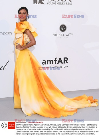 Cannes 2019 - impreza amfAR