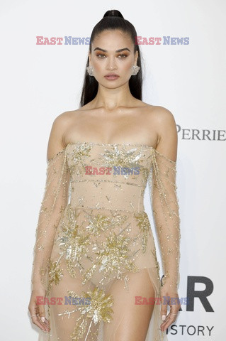 Cannes 2019 - impreza amfAR