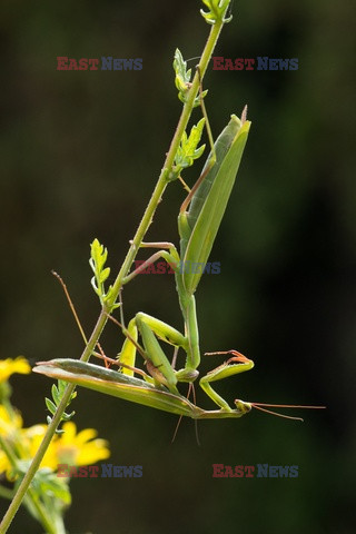 Bios Photo May 2019