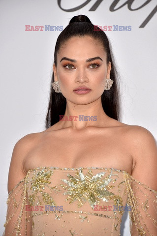 Cannes 2019 - impreza amfAR