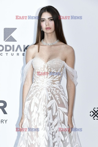 Cannes 2019 - impreza amfAR