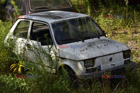 Stock Albin Marciniak