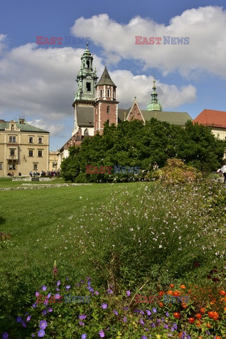 Kraków Albin Marciniak