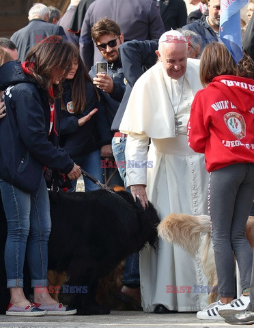 Audiencja Generalna Papieża Franciszka