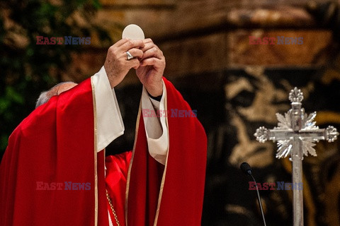 Papież Franciszek -  msza za dusze zmarłych kardynałów i biskupów, Watykan