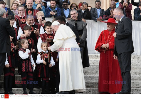 Papież Franciszek podczas cotydogodniowej audiencji ogólnej