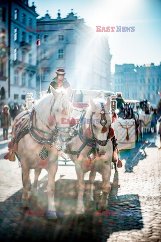 Polska DaZa