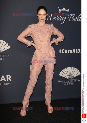 Gala amfAR 2020