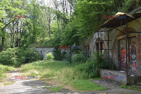 Fortyfikacje na terenie Polski Albin Marciniak