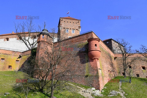 Kraków Albin Marciniak