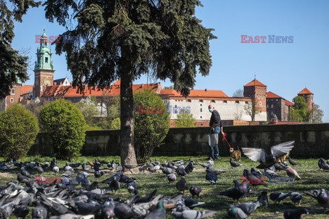 Obowiązuje nakaz zasłaniania nosa i ust