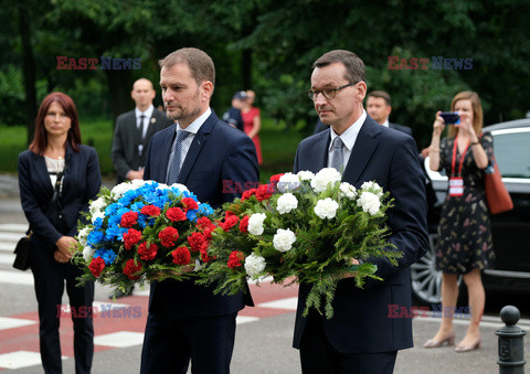 Spotkanie Grupy Wyszehradzkiej