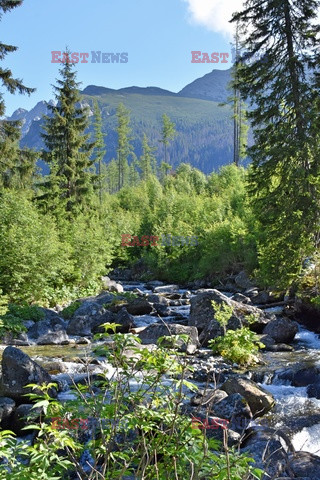 Tatry Słowackie Albin Marciniak