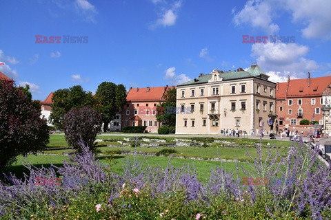 Kraków Albin Marciniak