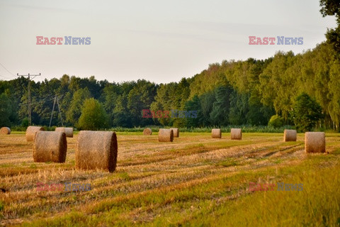 Rezerwat Przyrody Dolina Baryczy