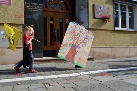 Pikiety przeciwko wycince lasów w Bieszczadach