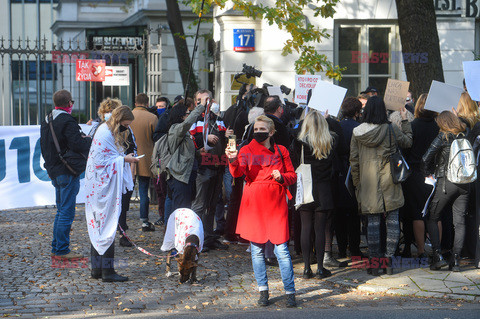 Aborcja przed Trybunałem Konstytucyjnym