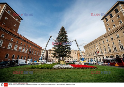 Choinka na Piazza Venezia w Rzymie