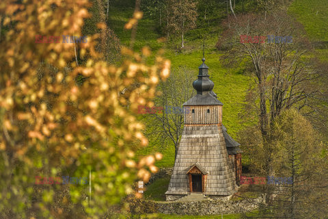 Małopolska Monk