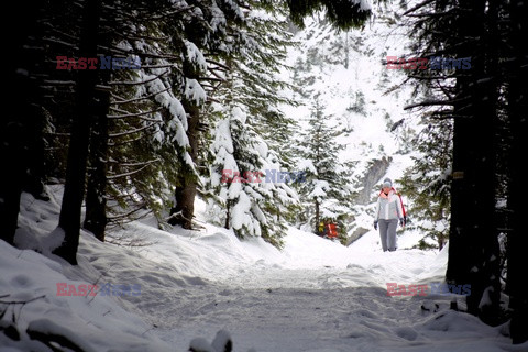 Polskie Tatry Albin Marciniak